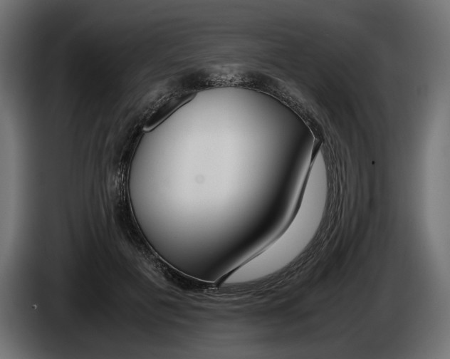 X0000083000601200703020906