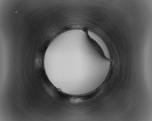 X0000083000602200703020906