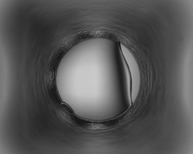 X0000083000605200703020906