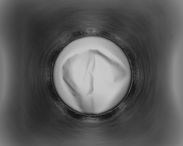 X0000083000606200703020906