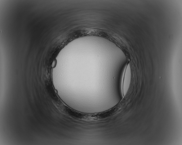 X0000083000607200703020906