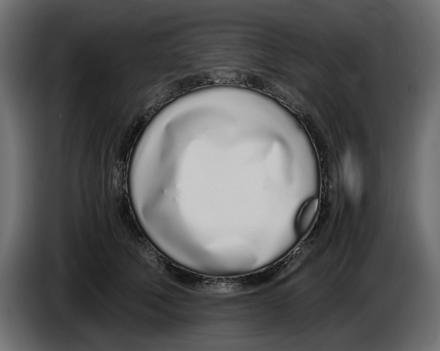 X0000083000610200703020906