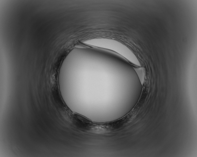 X0000083000611200703020906