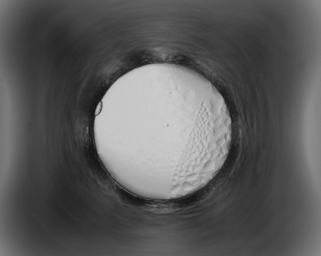 X0000083000615200703020906