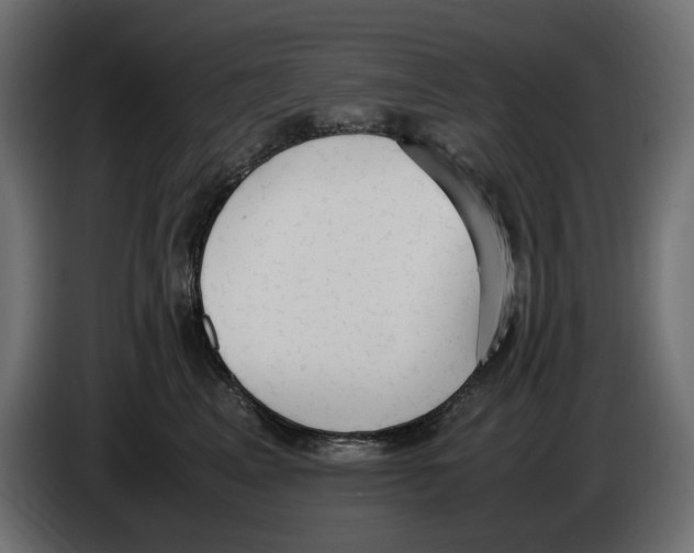 X0000083000617200703020906