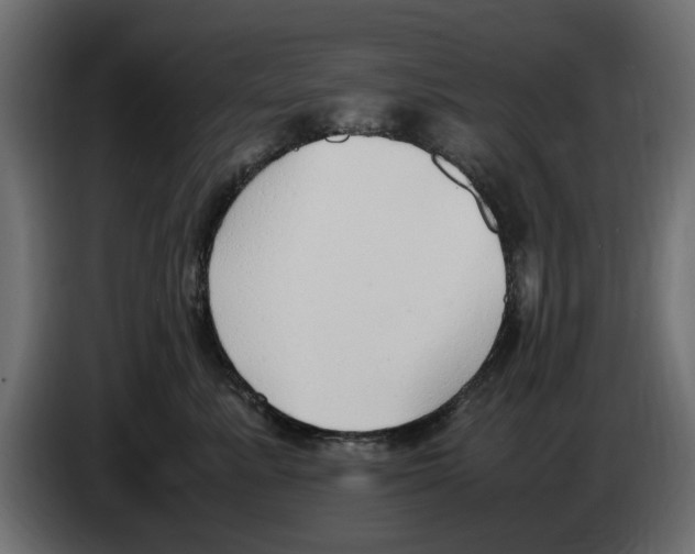 X0000083000619200703020905