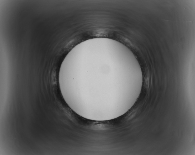 X0000083000620200703020905