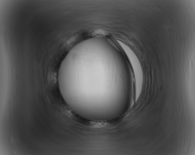 X0000083000621200703020905