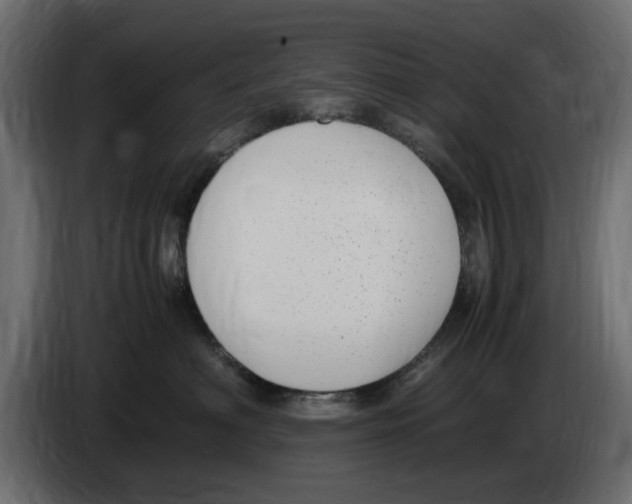 X0000083000622200703020905