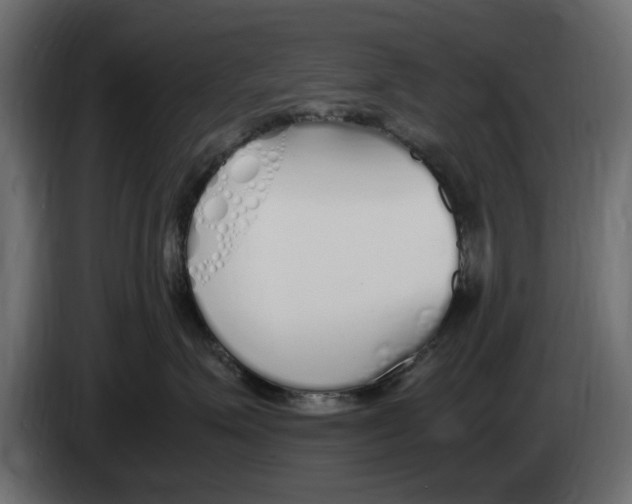 X0000083000623200703020905