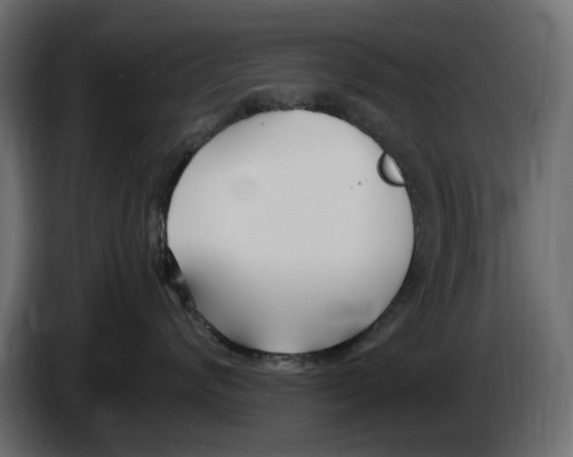 X0000083000624200703020905