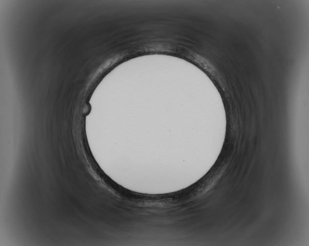 X0000083000625200703020905