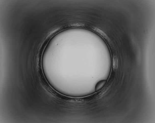 X0000083000627200703020905