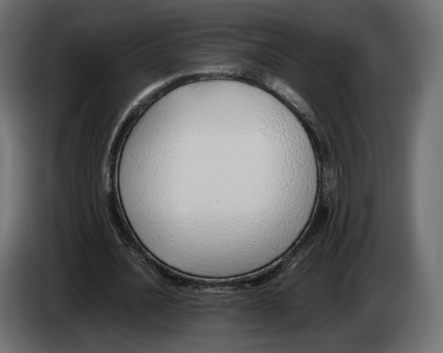 X0000083000628200703020905