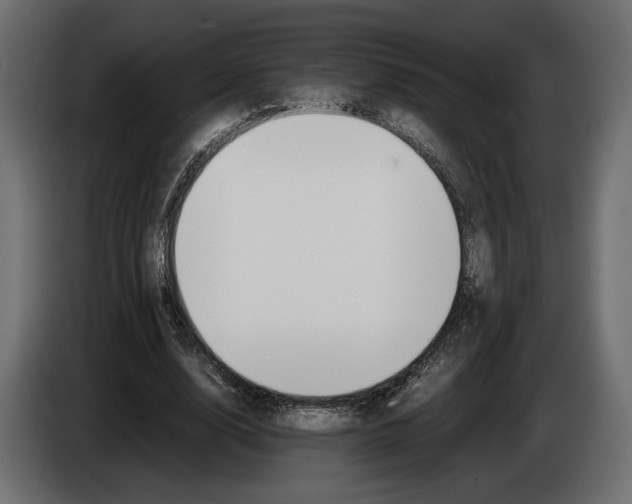 X0000083000632200703020905