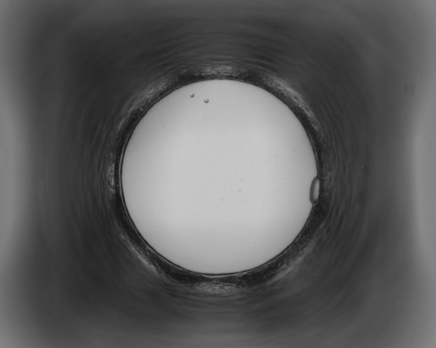 X0000083000633200703020905