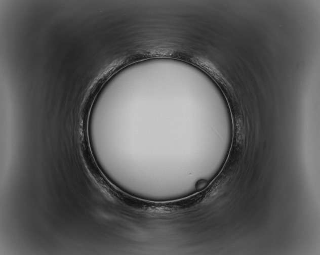 X0000083000634200703020905