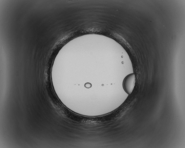 X0000083000635200703020905