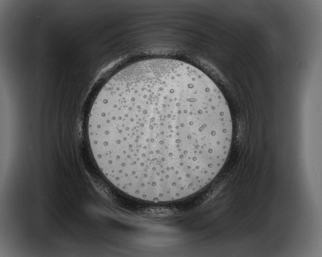 X0000083000636200703020905