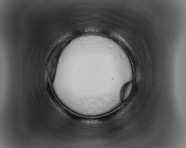 X0000083000637200703020905