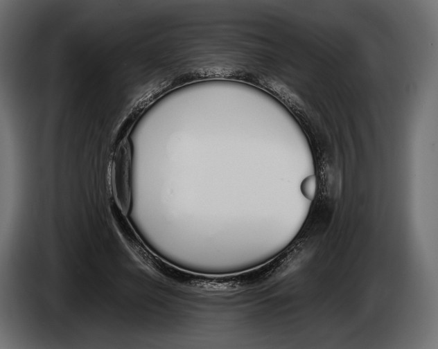 X0000083000638200703020905