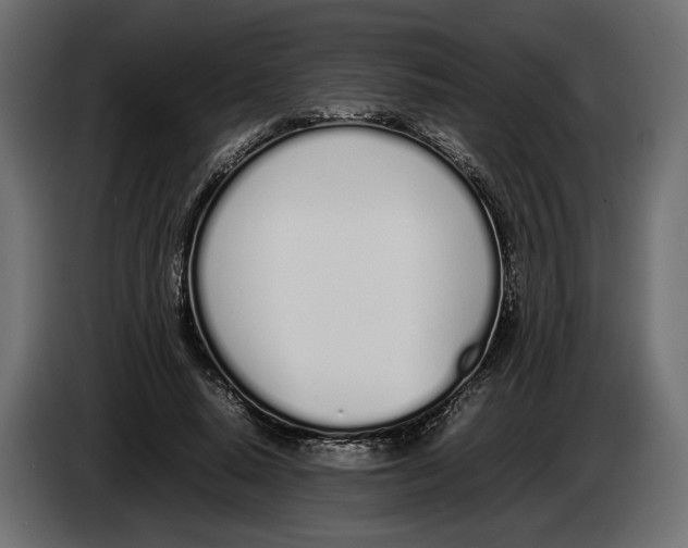 X0000083000640200703020905