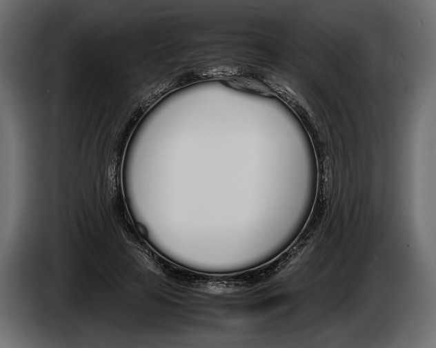 X0000083000641200703020905