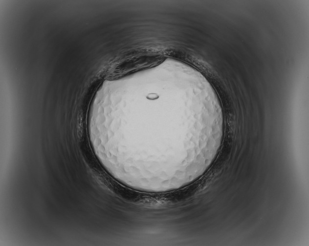 X0000083000642200703020905