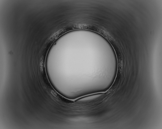 X0000083000644200703020905