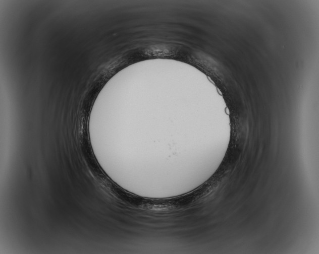 X0000083000645200703020905