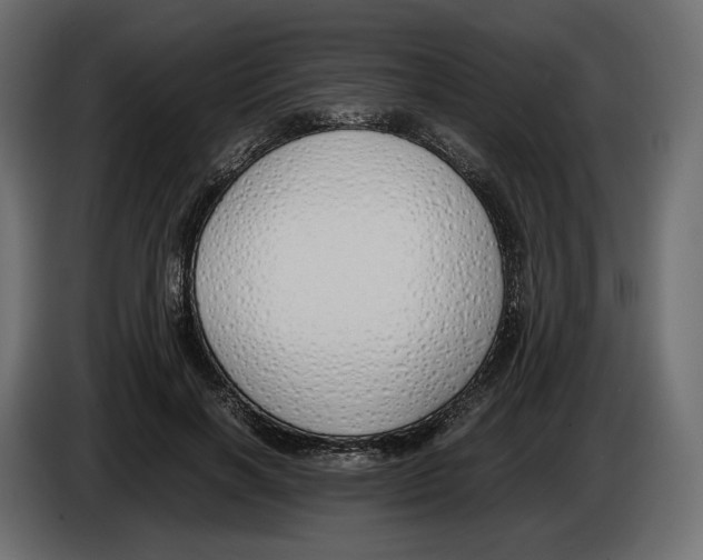 X0000083000646200703020905