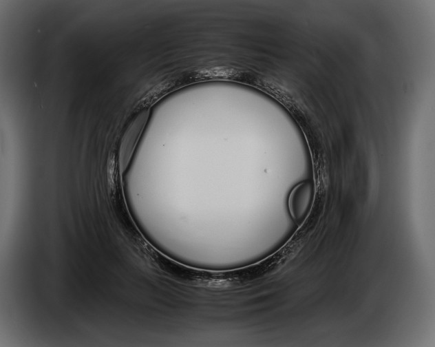 X0000083000647200703020905