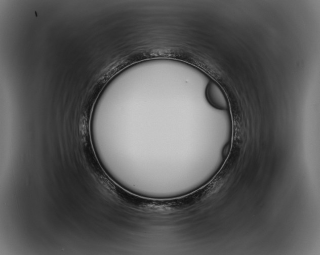 X0000083000648200703020905