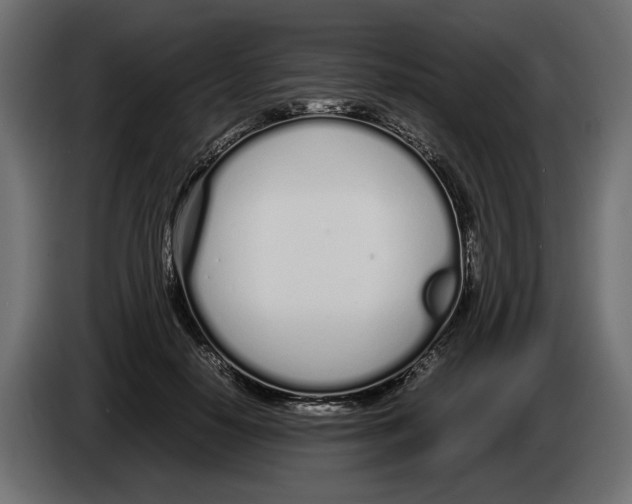 X0000083000650200703020905