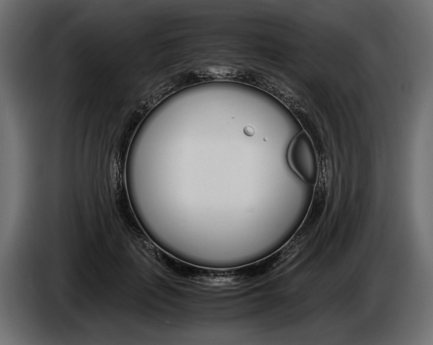 X0000083000651200703020905