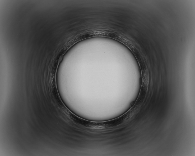 X0000083000653200703020905