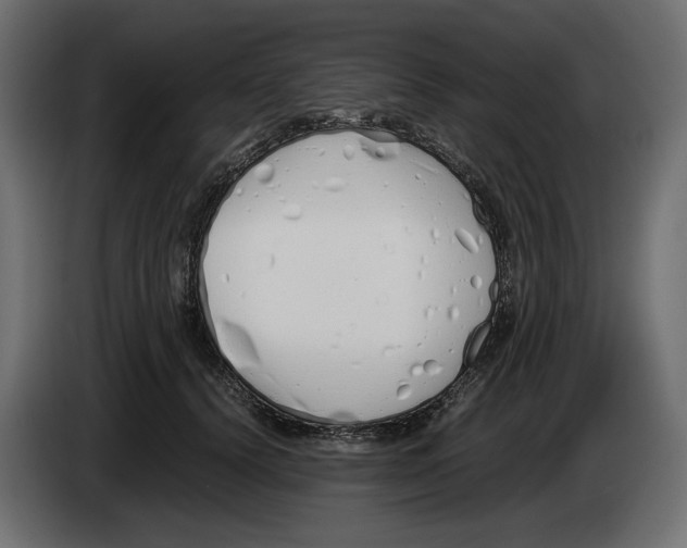 X0000083000656200703020905