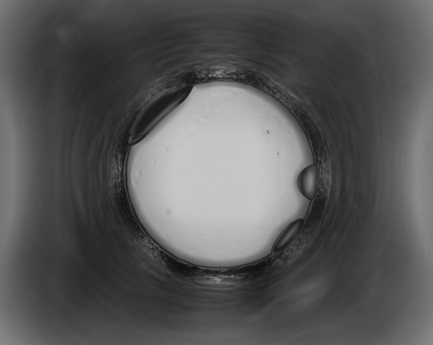 X0000083000657200703020905