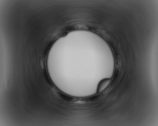 X0000083000658200703020905