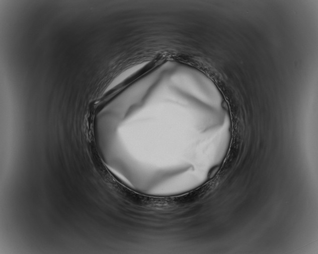 X0000083000659200703020905