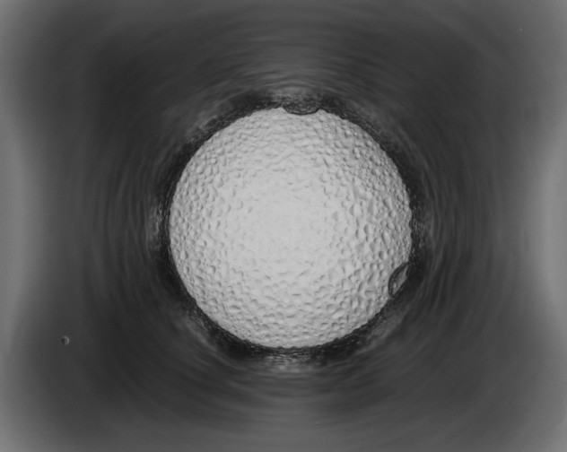 X0000083000660200703020905