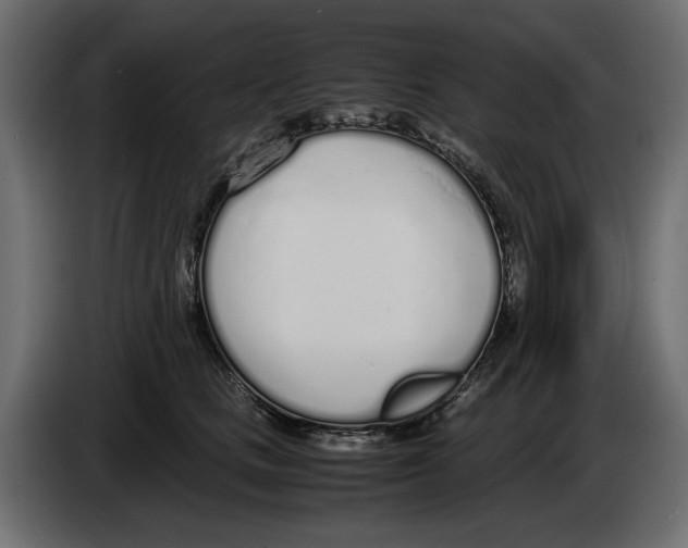 X0000083000661200703020905