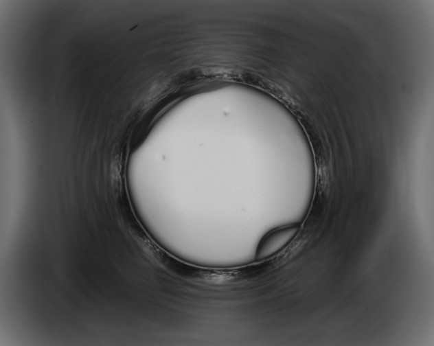 X0000083000662200703020905