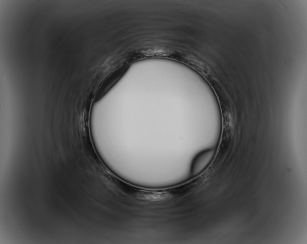 X0000083000663200703020905