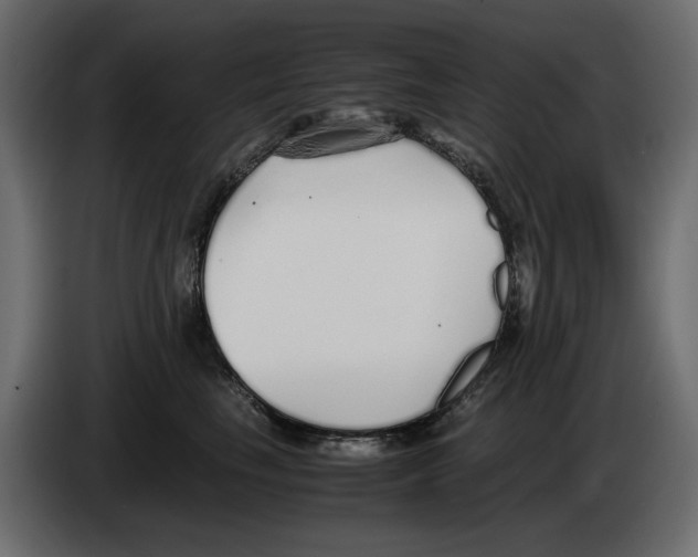 X0000083000665200703020905