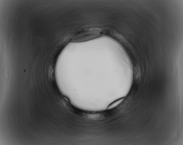 X0000083000669200703020905