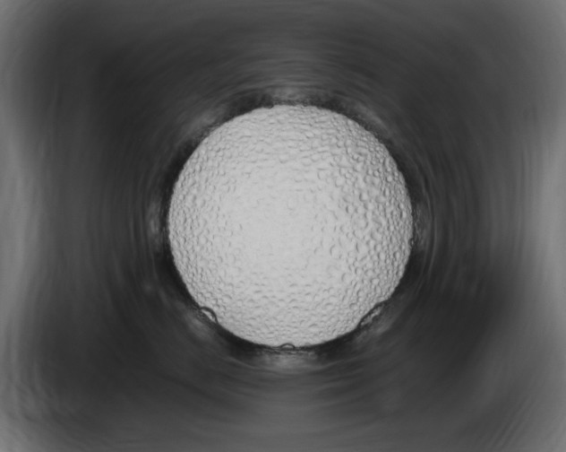 X0000083000670200703020905