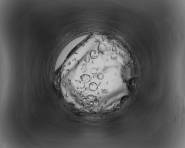 X0000083000671200703020905