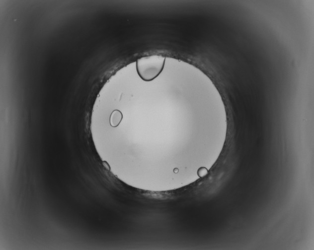 X0000083000672200703020905