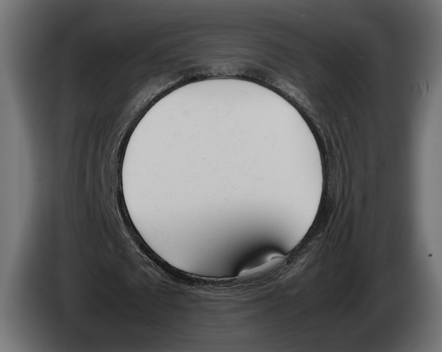 X0000083000673200703020905